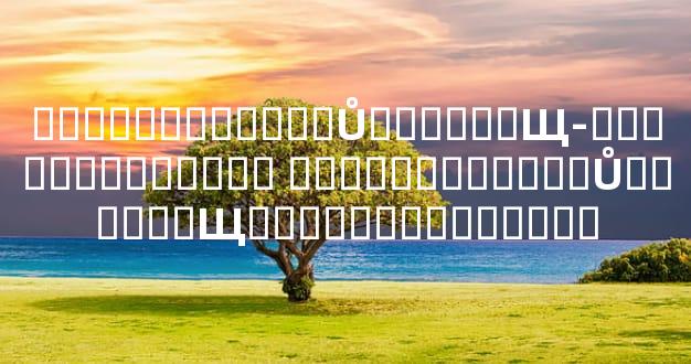 �ٲ�������Ȣ��Ů������Щ-������������� �ٲ�������Ȣ��Ů������Щ������������ǣ�